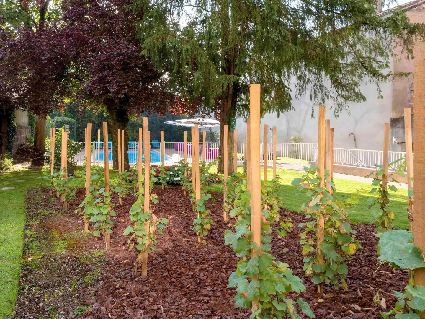 ibis Styles Macon Centre