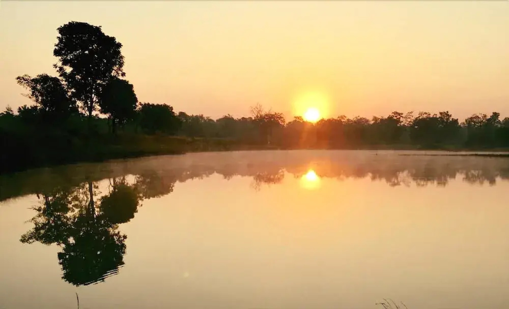 The GrassWalk M A Y A