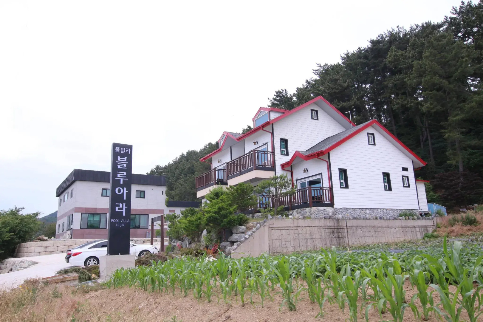 Uljin blue ara A pension