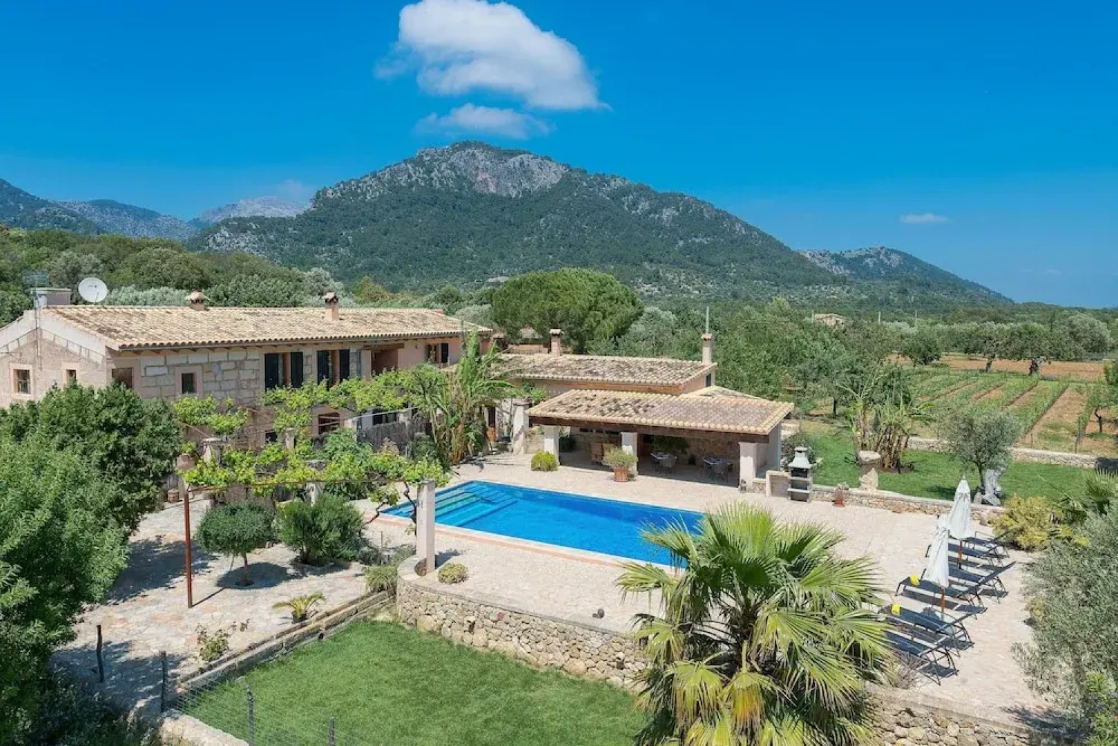 SA Parellada - Deluxe