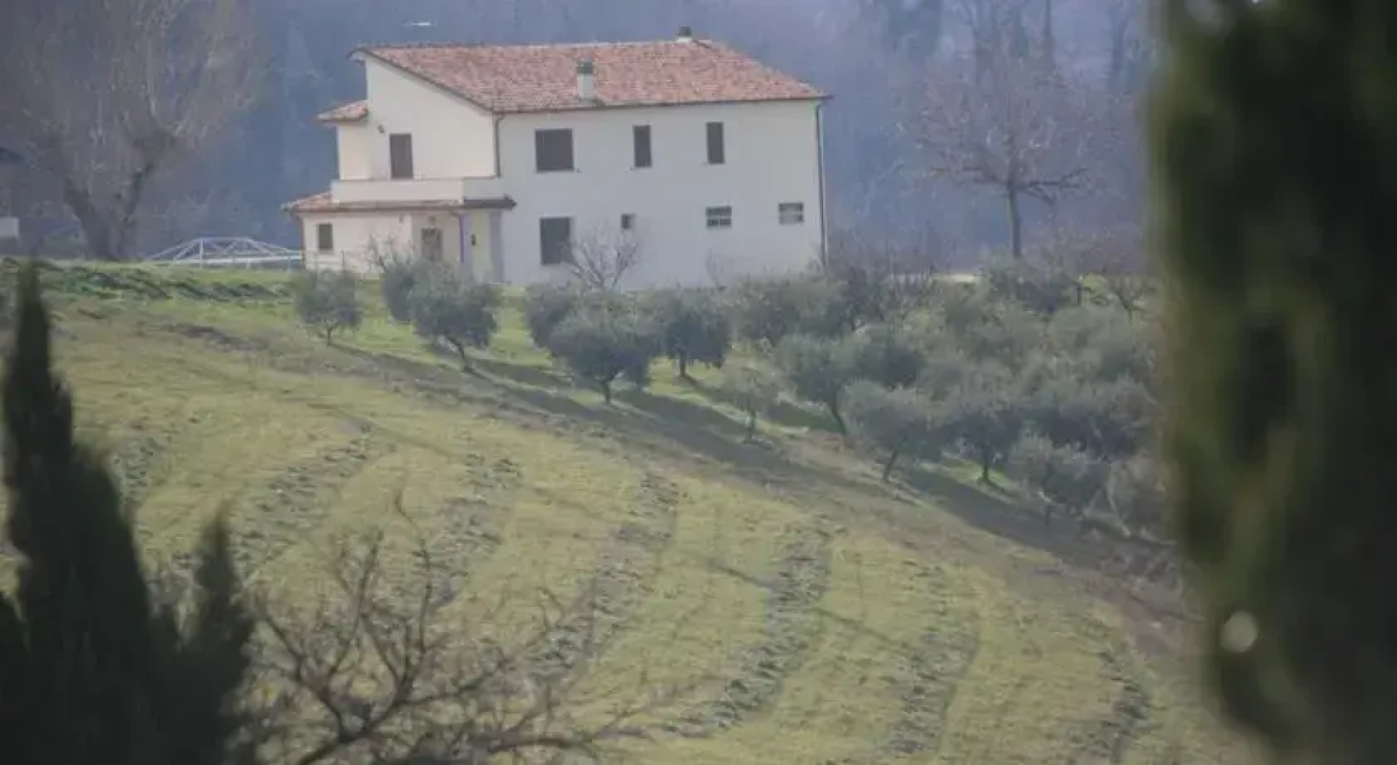 B&B La Collina Degli Ulivi