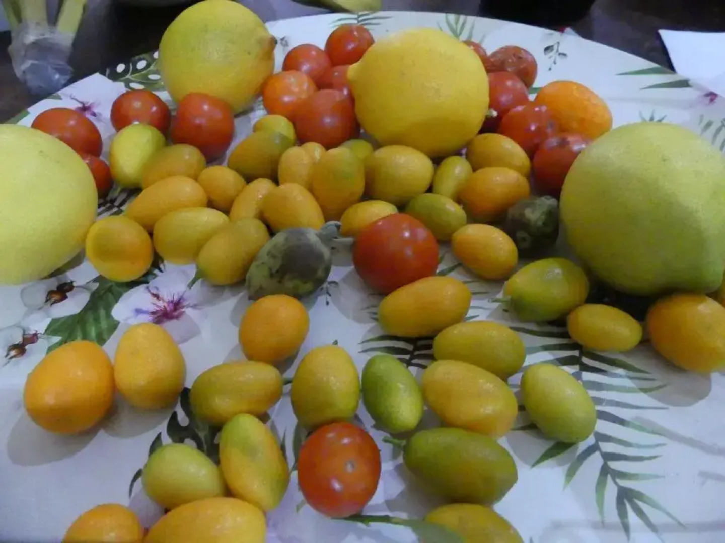 Limoux Riverside Gardens