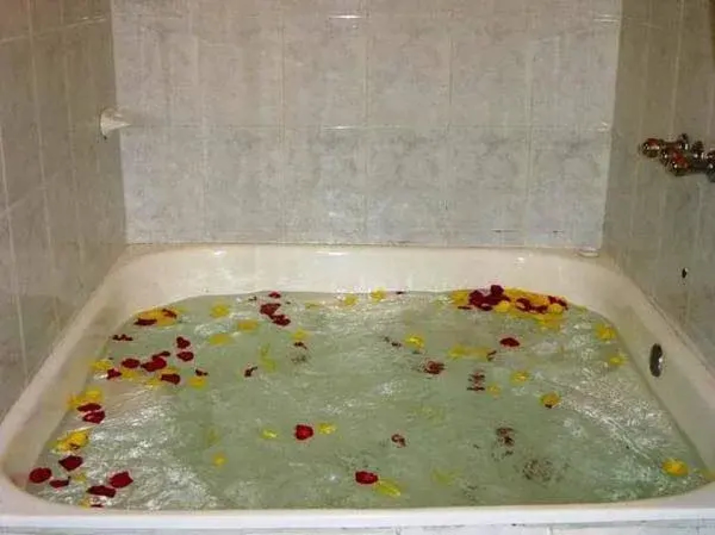 Termas de Papallacta