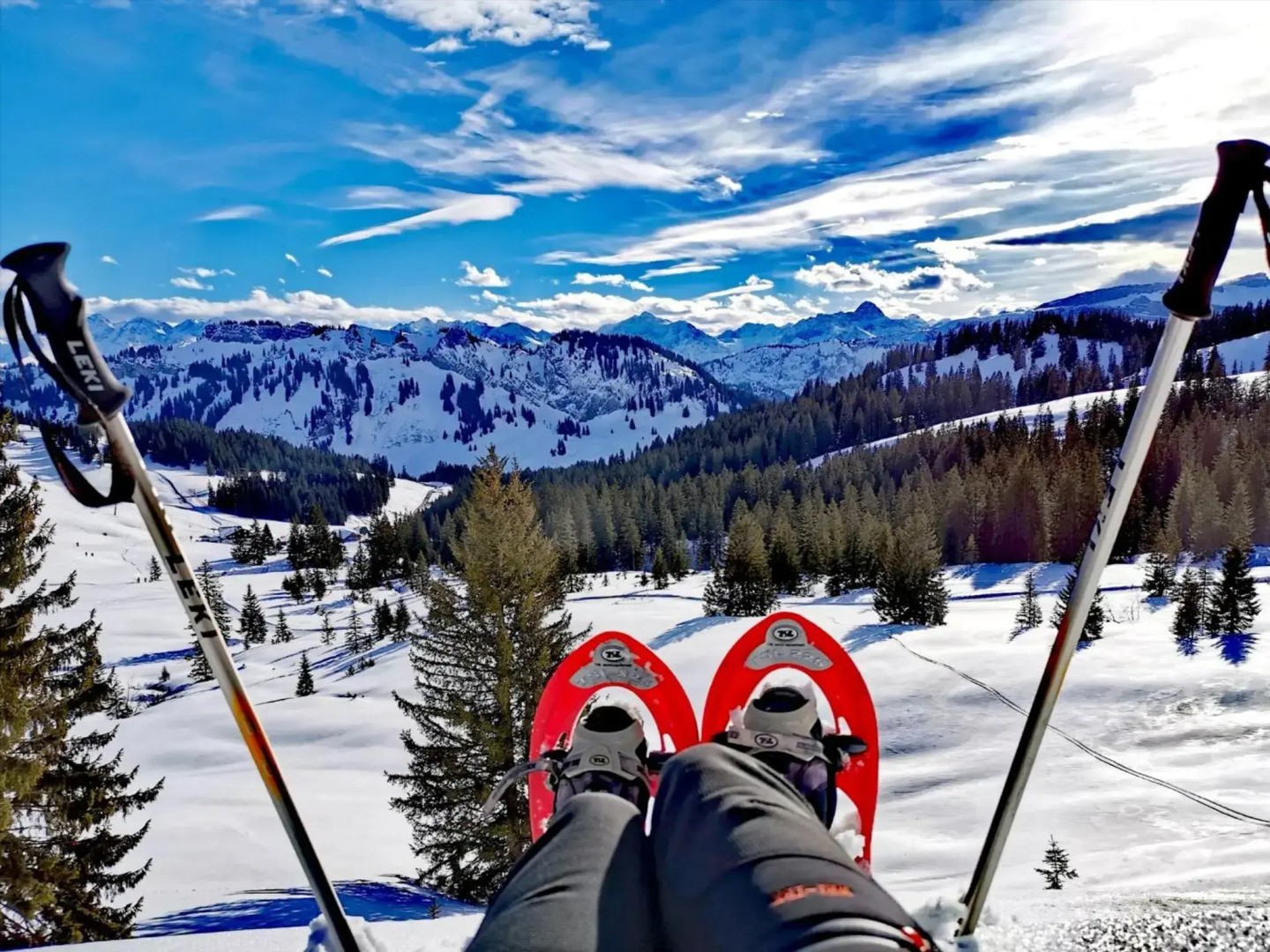 Gemütliche Ferienwohnung Bergwiese, 2-Raum, separates Schlafzimmer, schönen Balkon oder Terrasse, Komfort Ausstattung, ruhige Lage, kostenfrei WLAN, Sauna im Landhaus, Brötchenservice, Parkplatz kostenfrei, Hunde auf Anfrage, Tankstelle für E-Autos
