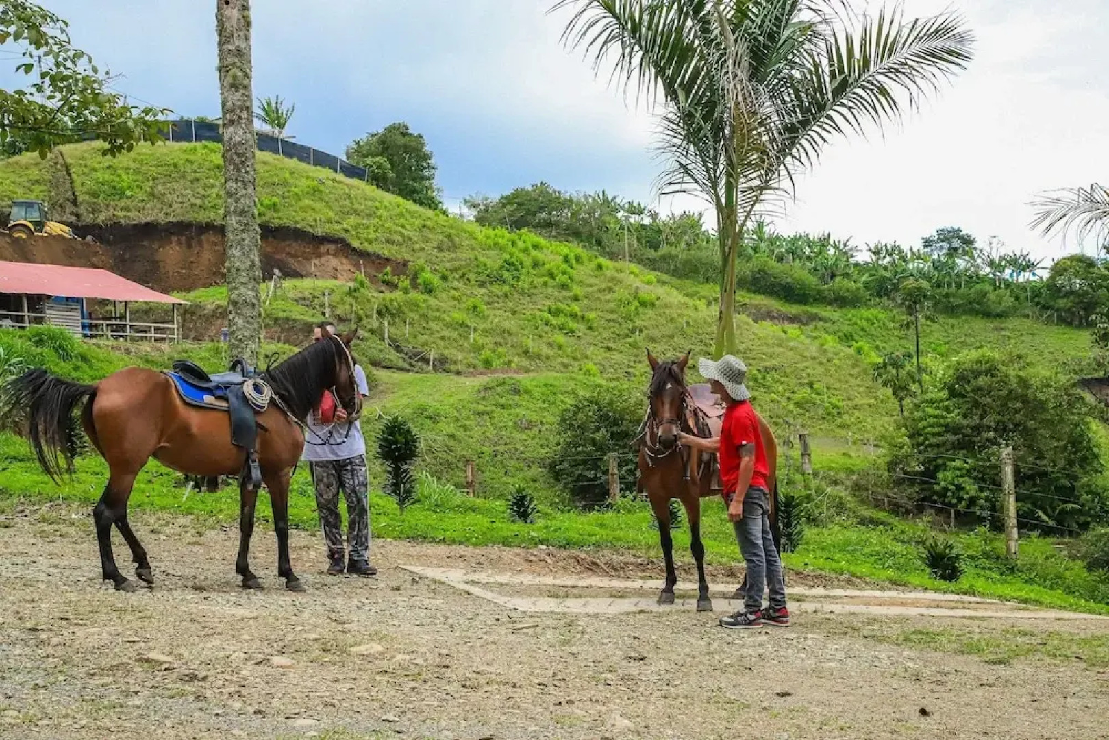 Finca Hotel Los Guayacanes