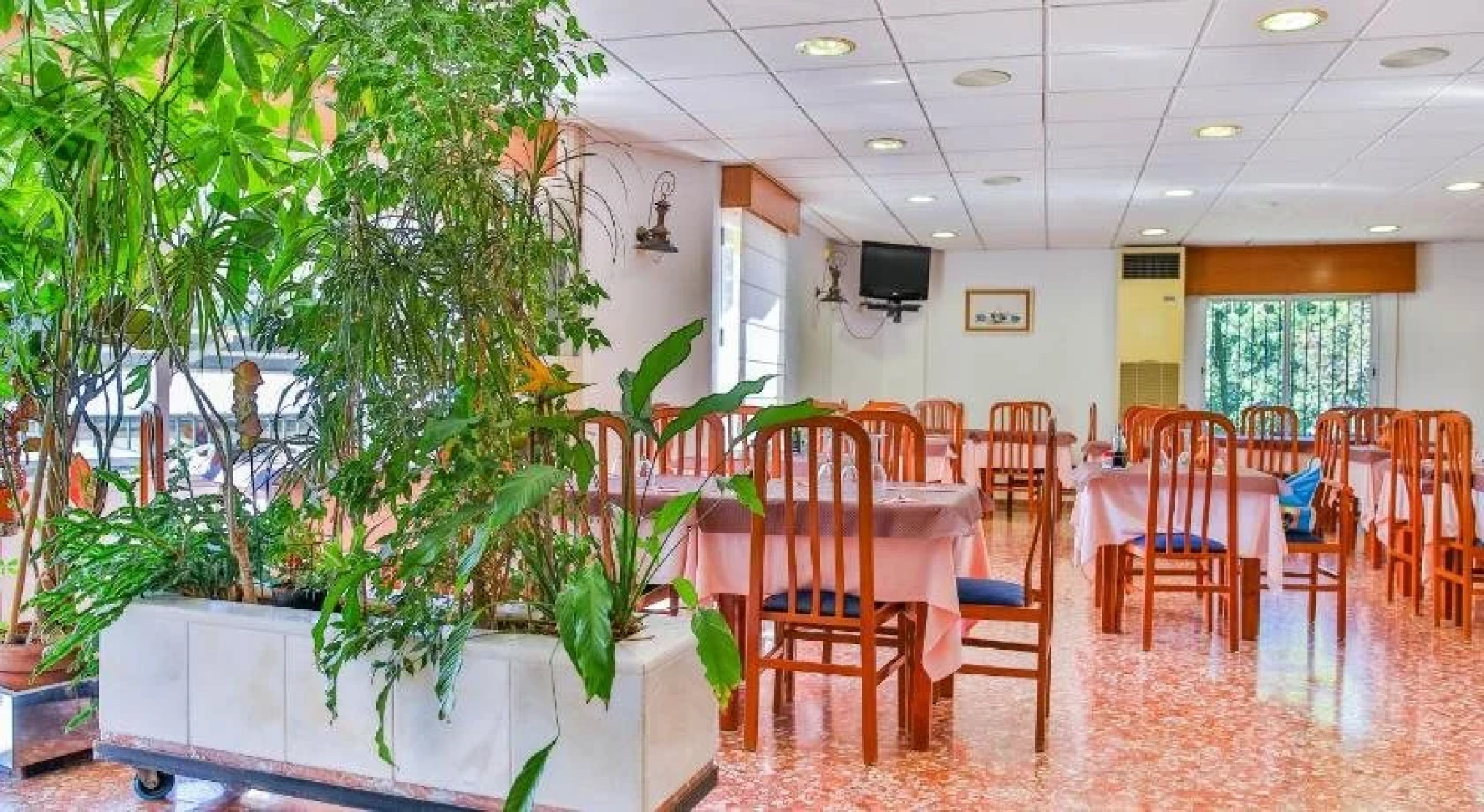Hotel Iberico