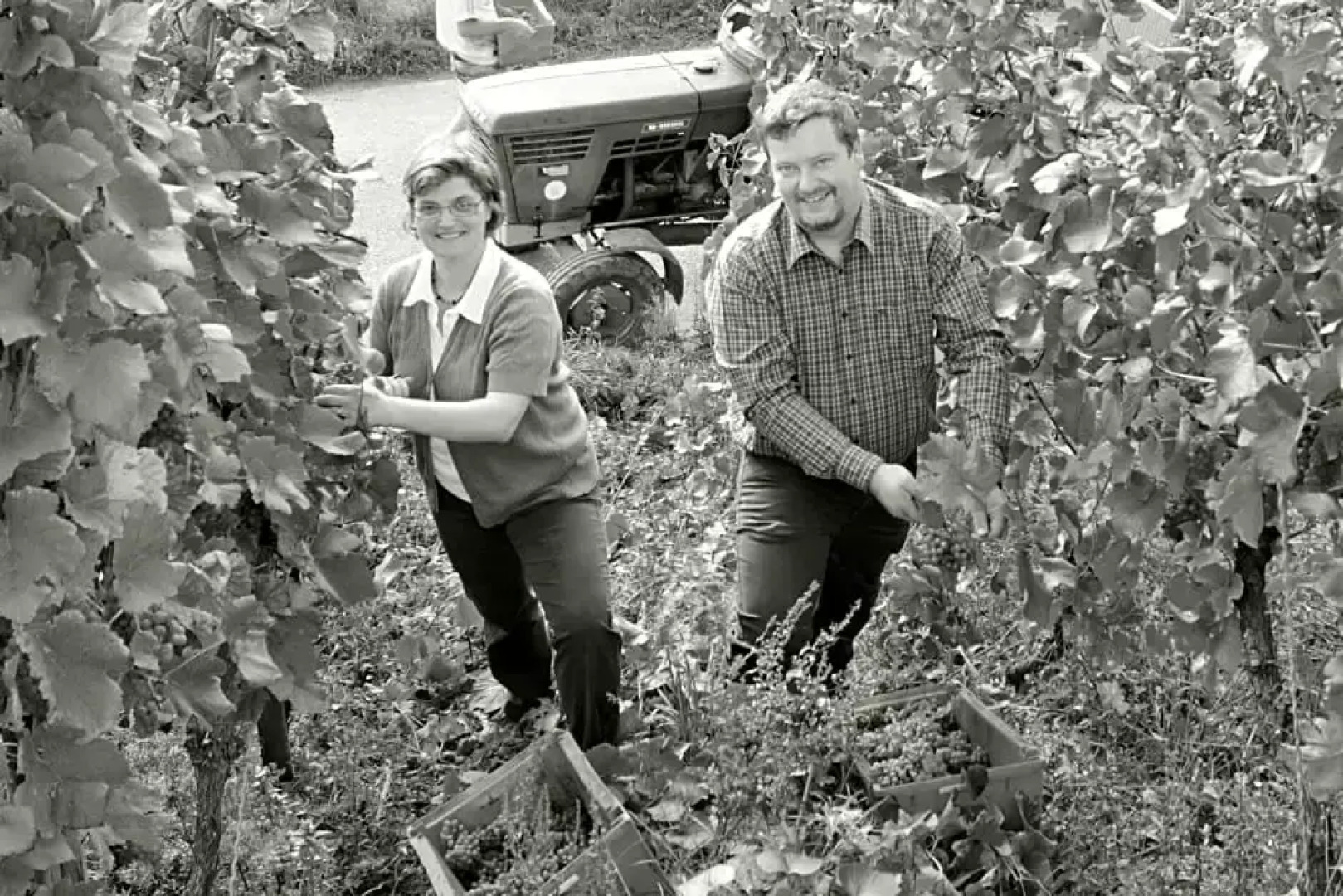 Gästehaus Wein im Turm