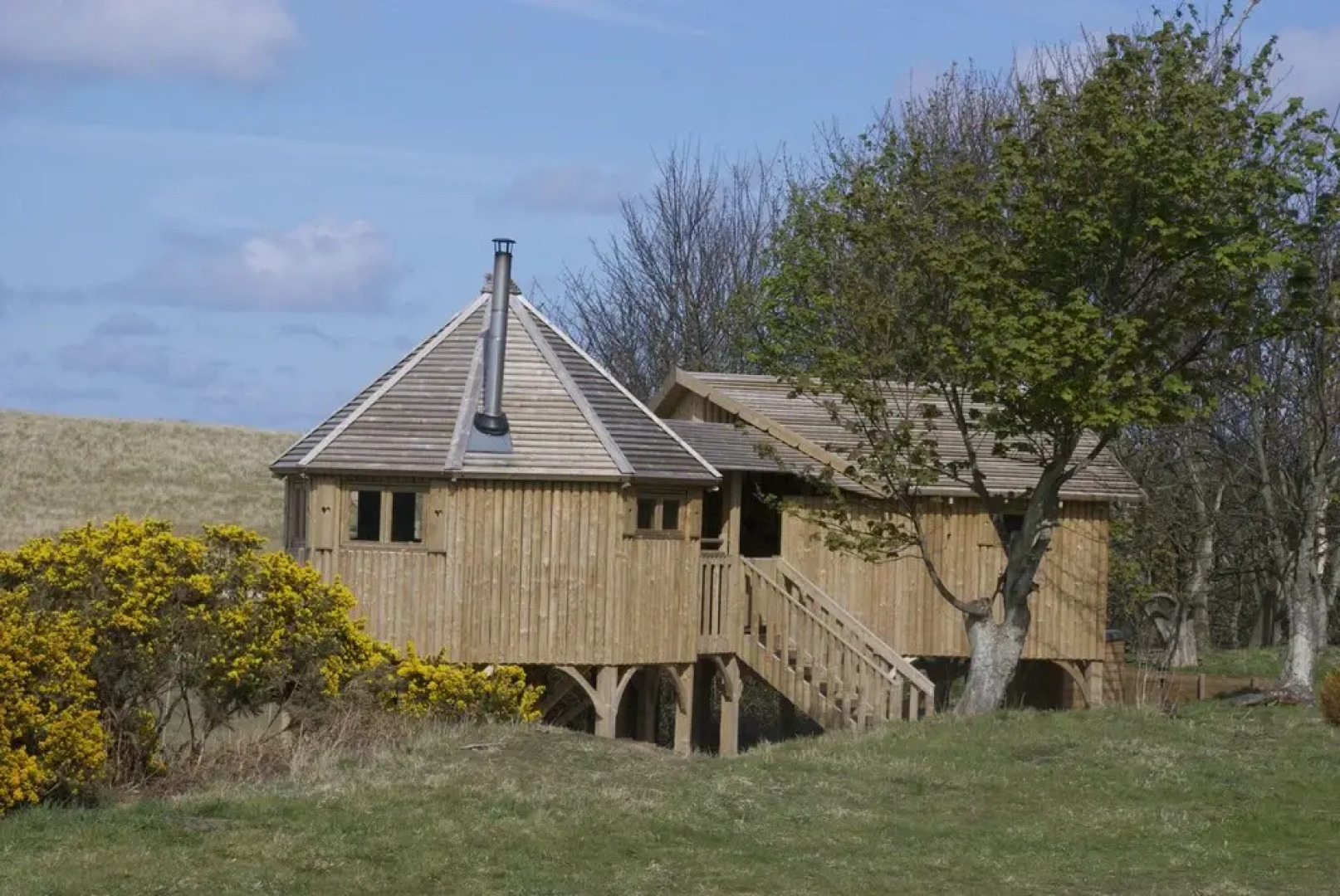 Harvest Moon Treehouse