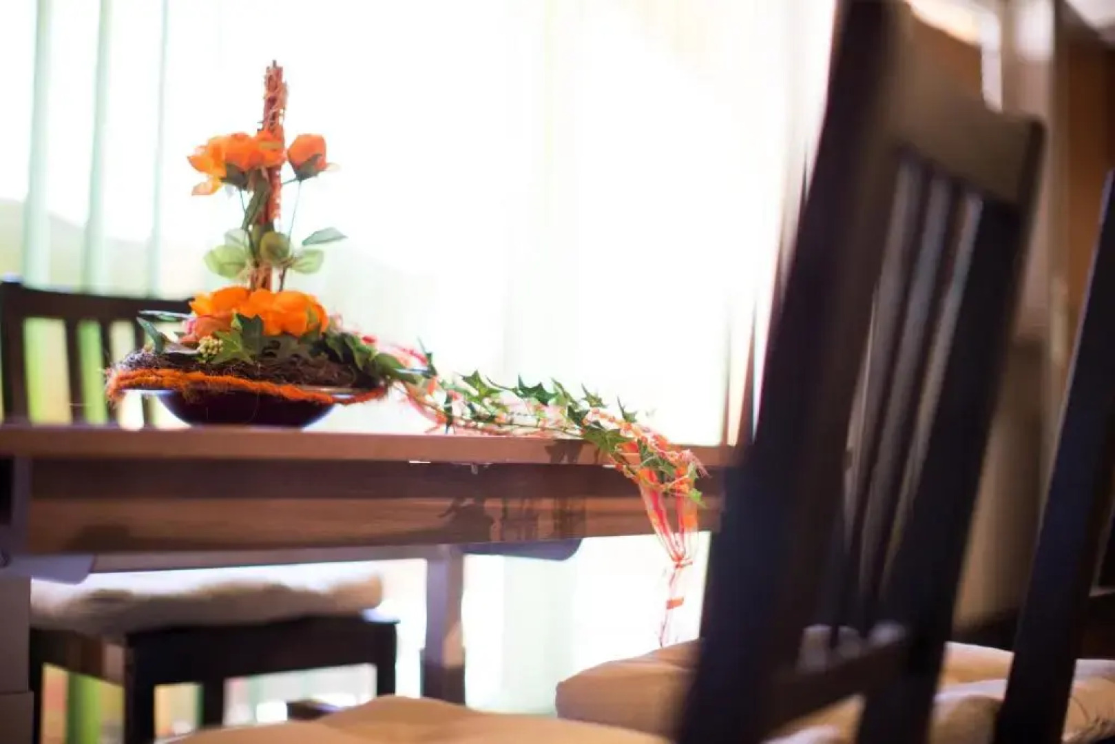 Top View Penthouse Hermann