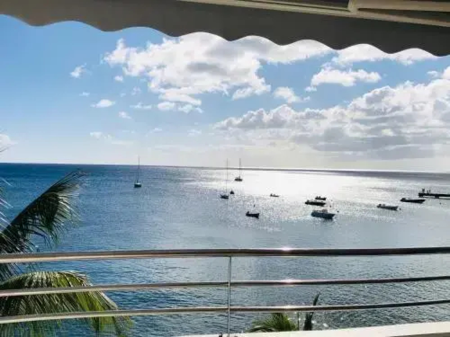 Hotel Pelican