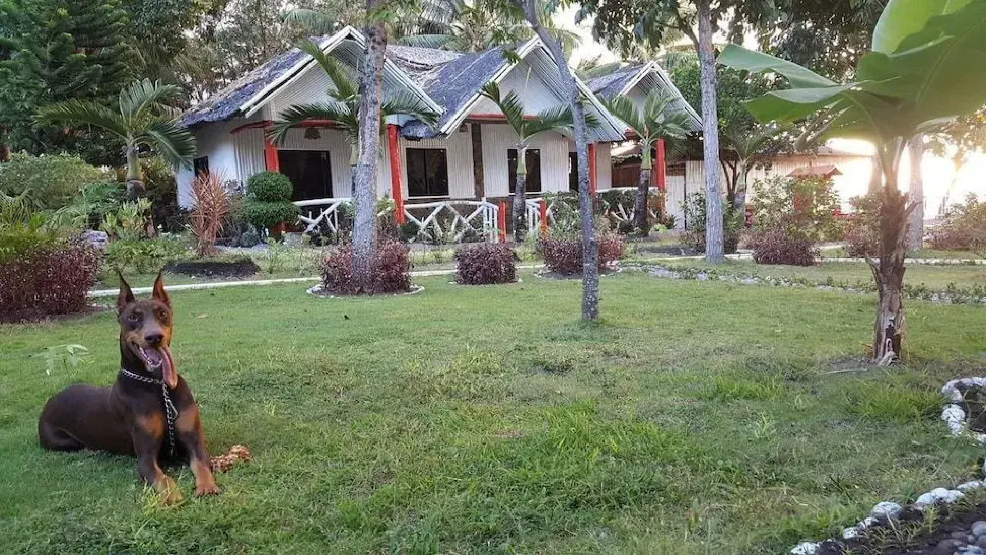 Dumaguete Snowman Resort and Dive Center