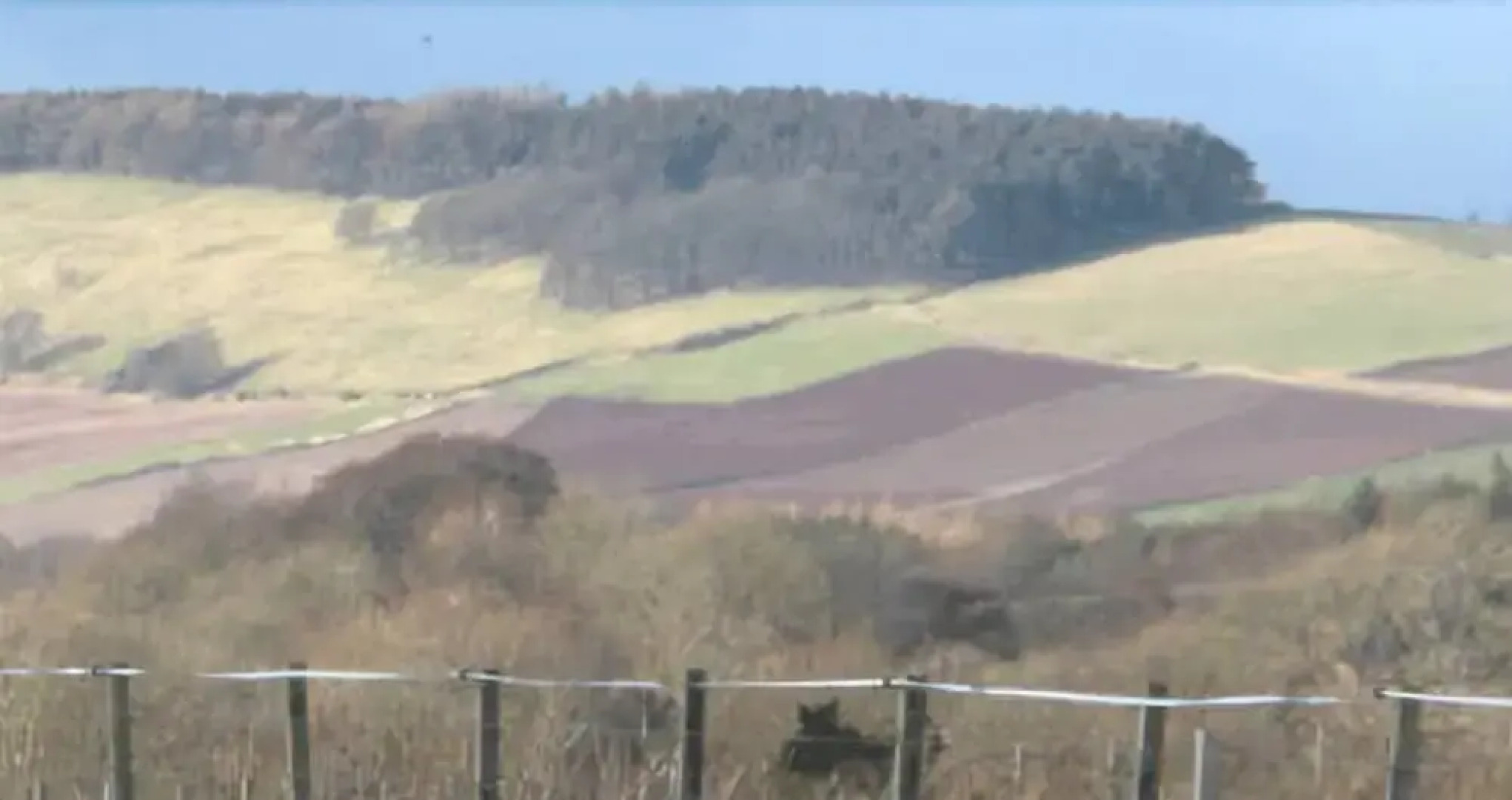 Fallady Bank Bed & Breakfast