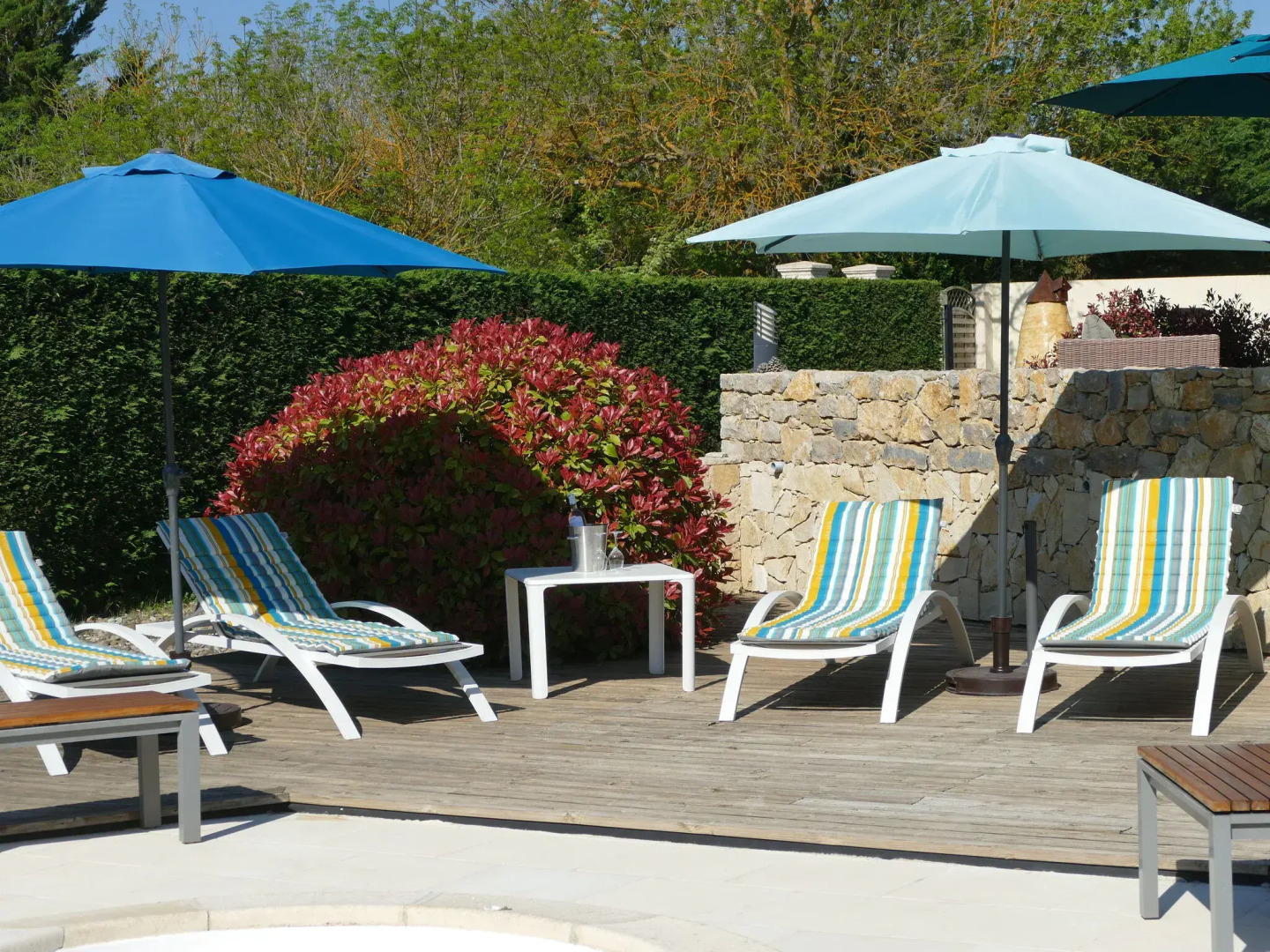 Luxury villa with pool and unique location in Malviès