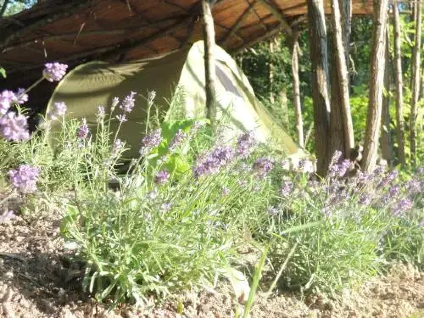 Adrenaline Check Kaki Event Place