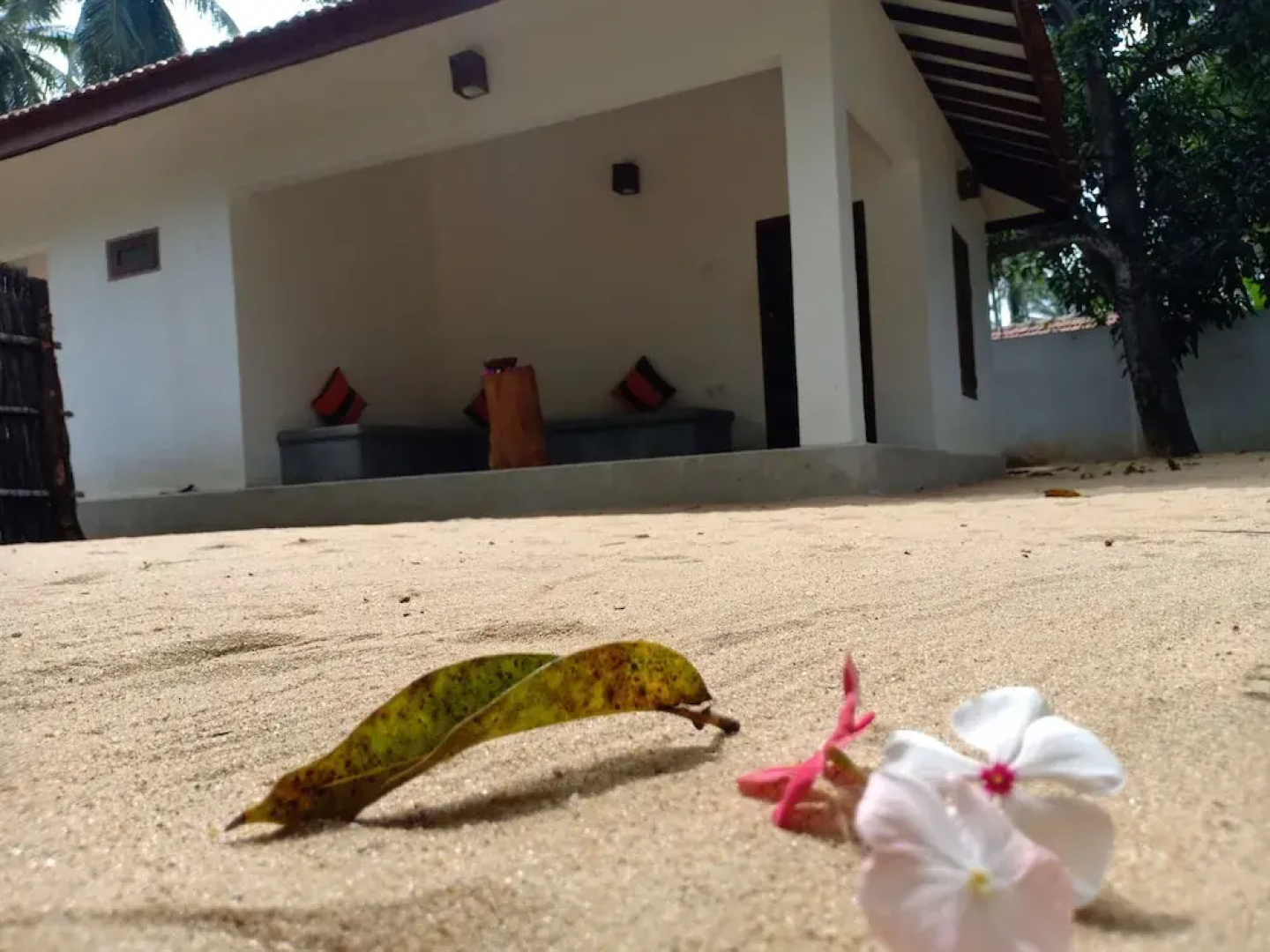 Sunset Safari & Resort