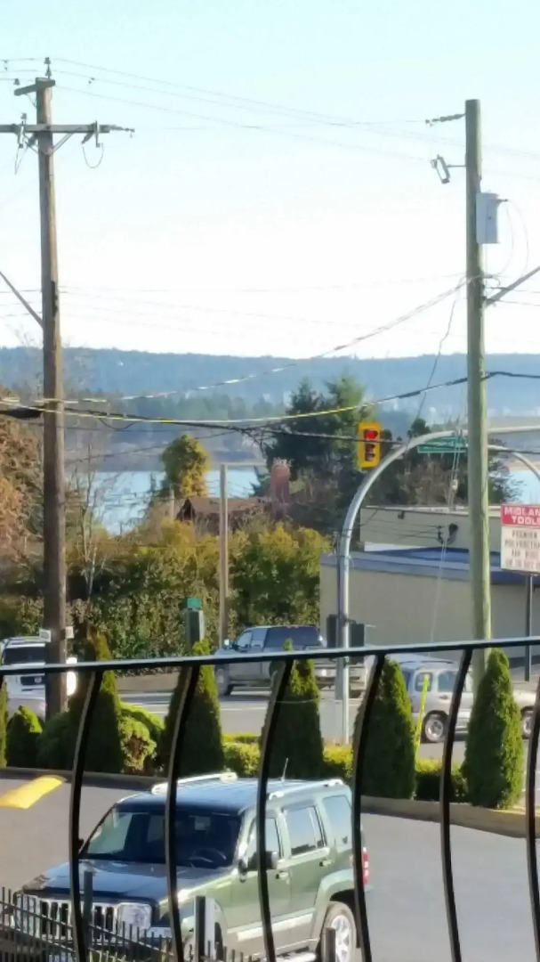 The Port-O-Call Inn & Suites