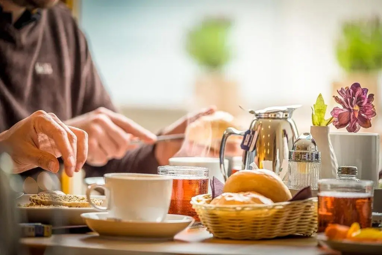 Scheiber Wein & Gästehaus