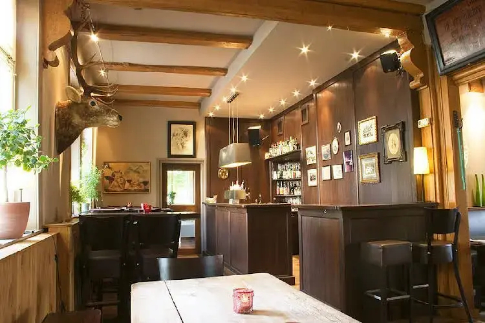 Apartment Brauner Hirsch