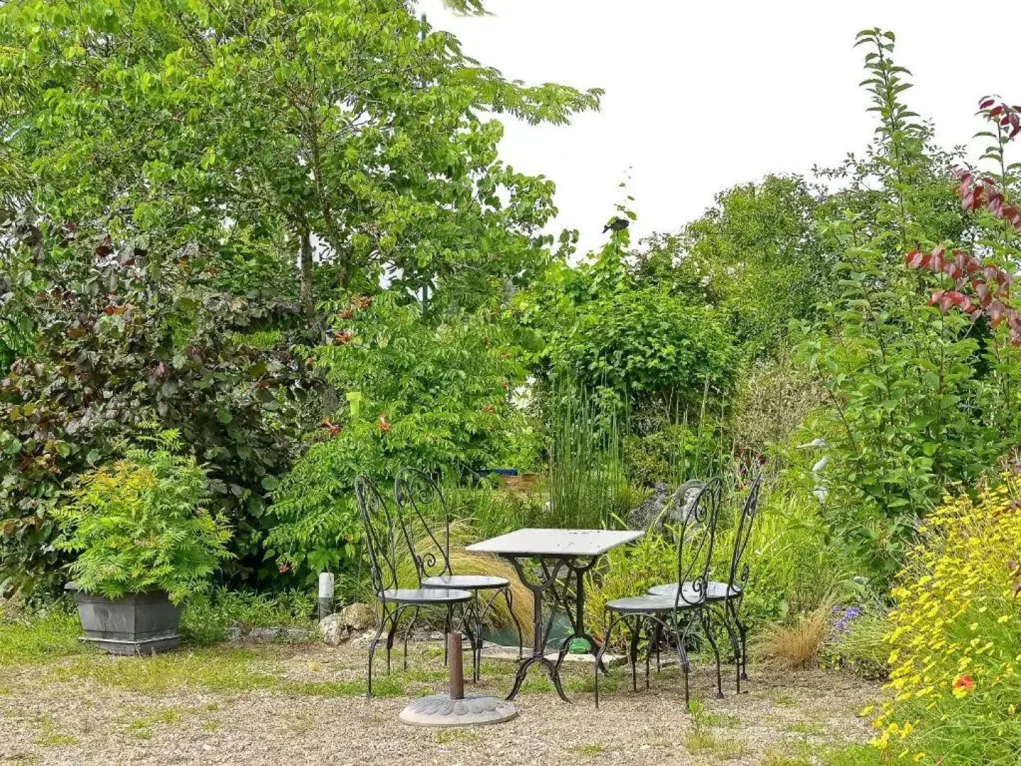 Gîte Châteauneuf-sur-Loire, 3 pièces, 3 personnes - FR-1-590-124