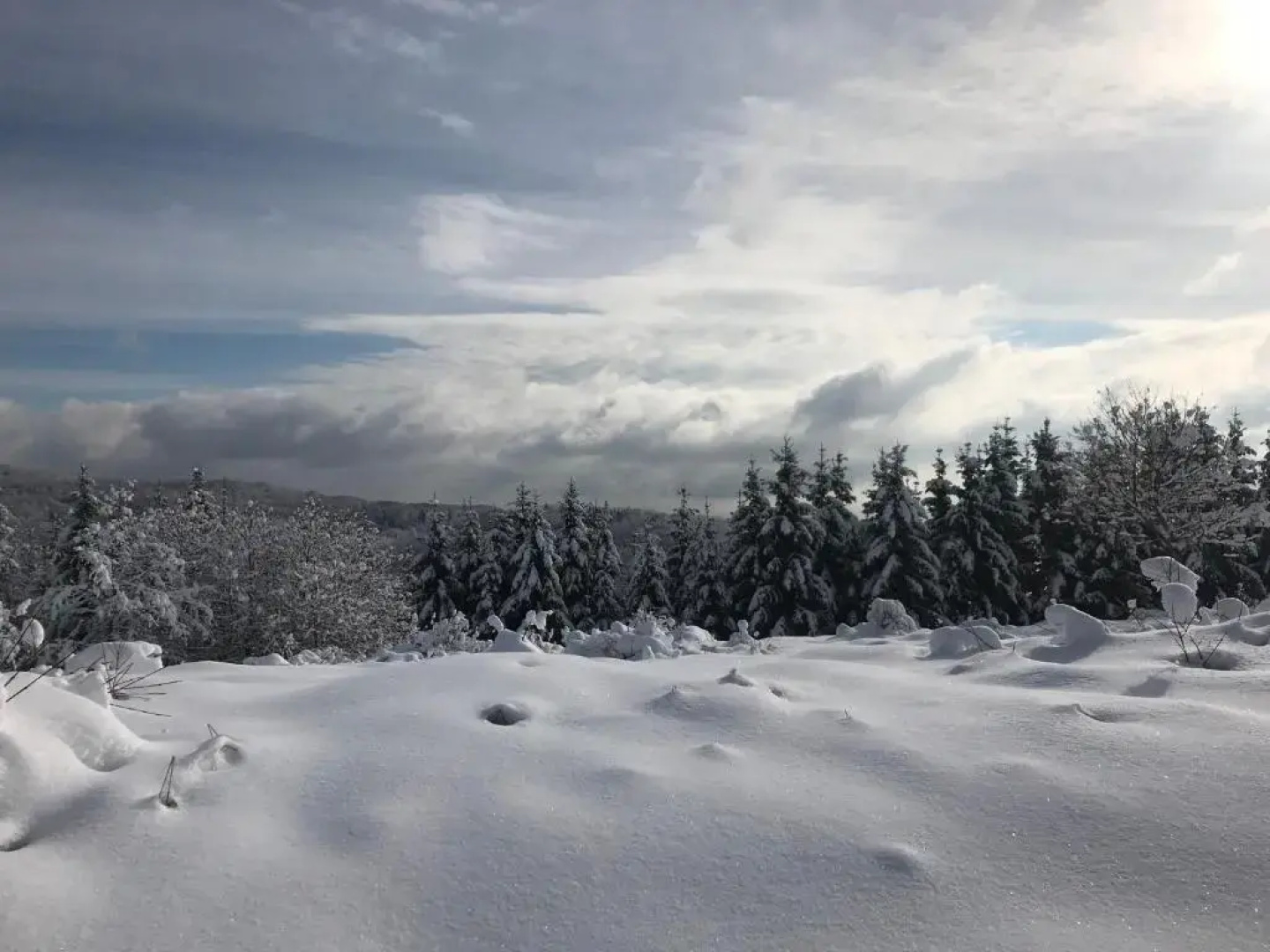Guest House Lagotto's Peak