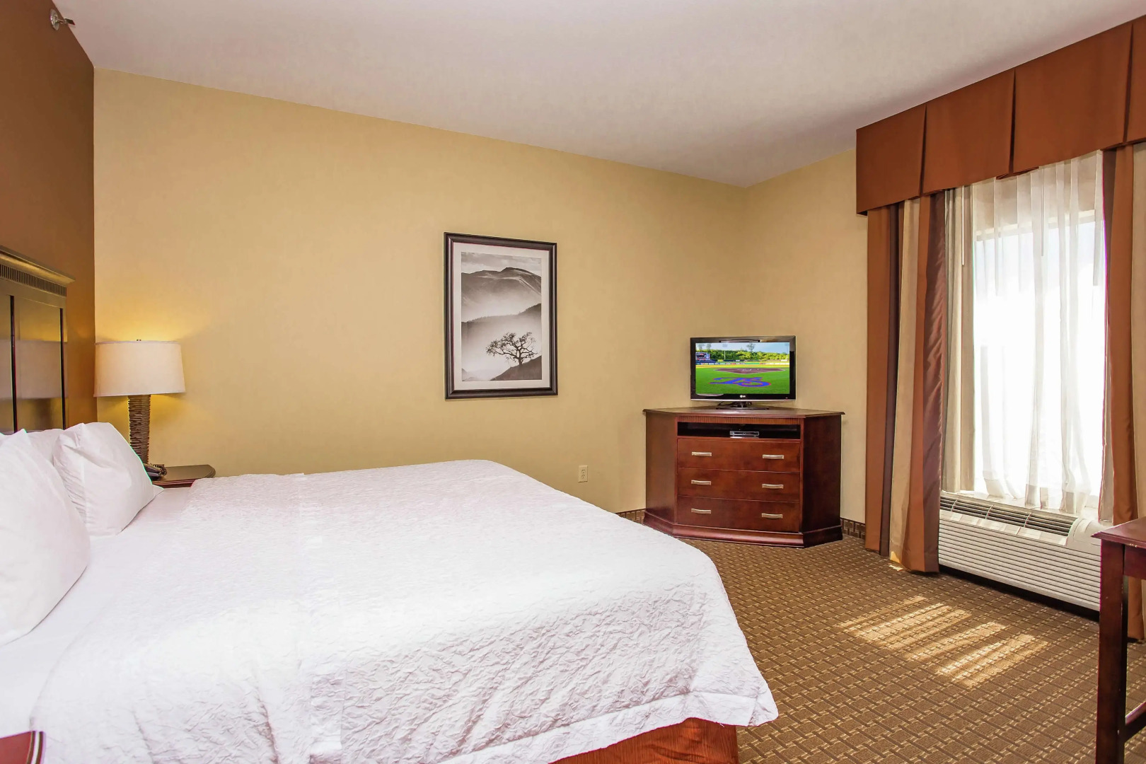 Hampton Inn & Suites Sevierville @ Stadium Drive