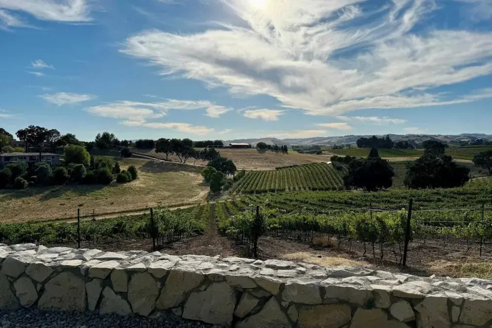 Wine Country Escape w/ Views + Wine Cellar & Gym Caterina Dusi Vineyard by Avantstay