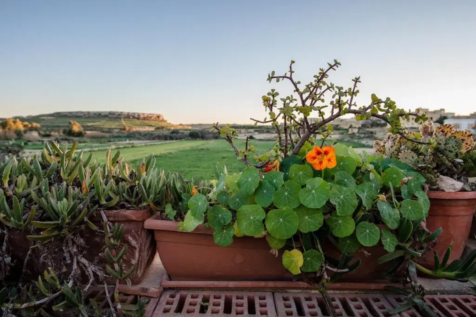 Villayana Gozitan Farmhouse with pool