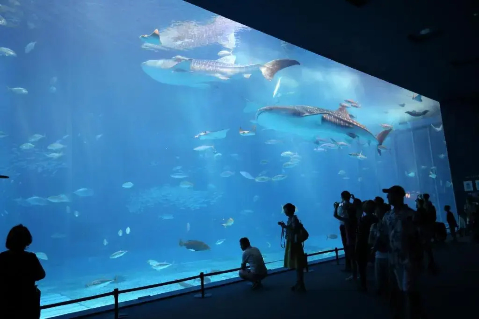 Condominium Uminchu No Yado