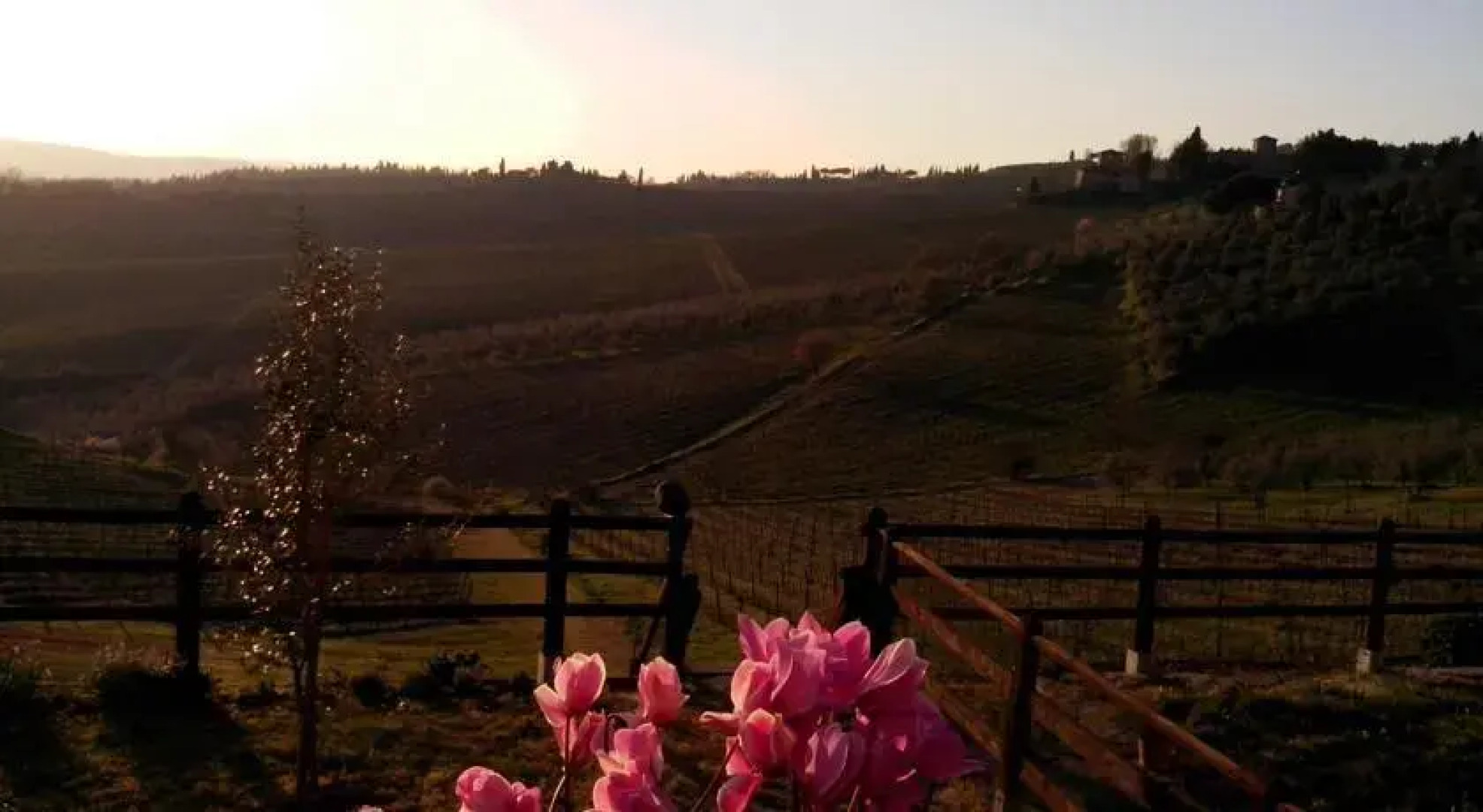 Immersi nella campagna Toscana