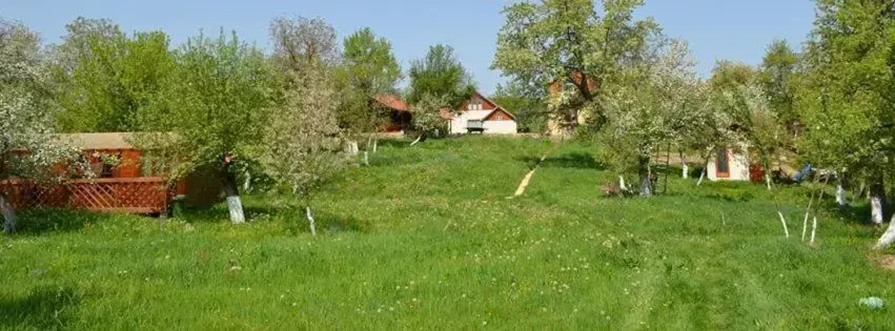 Pension Zamolxe