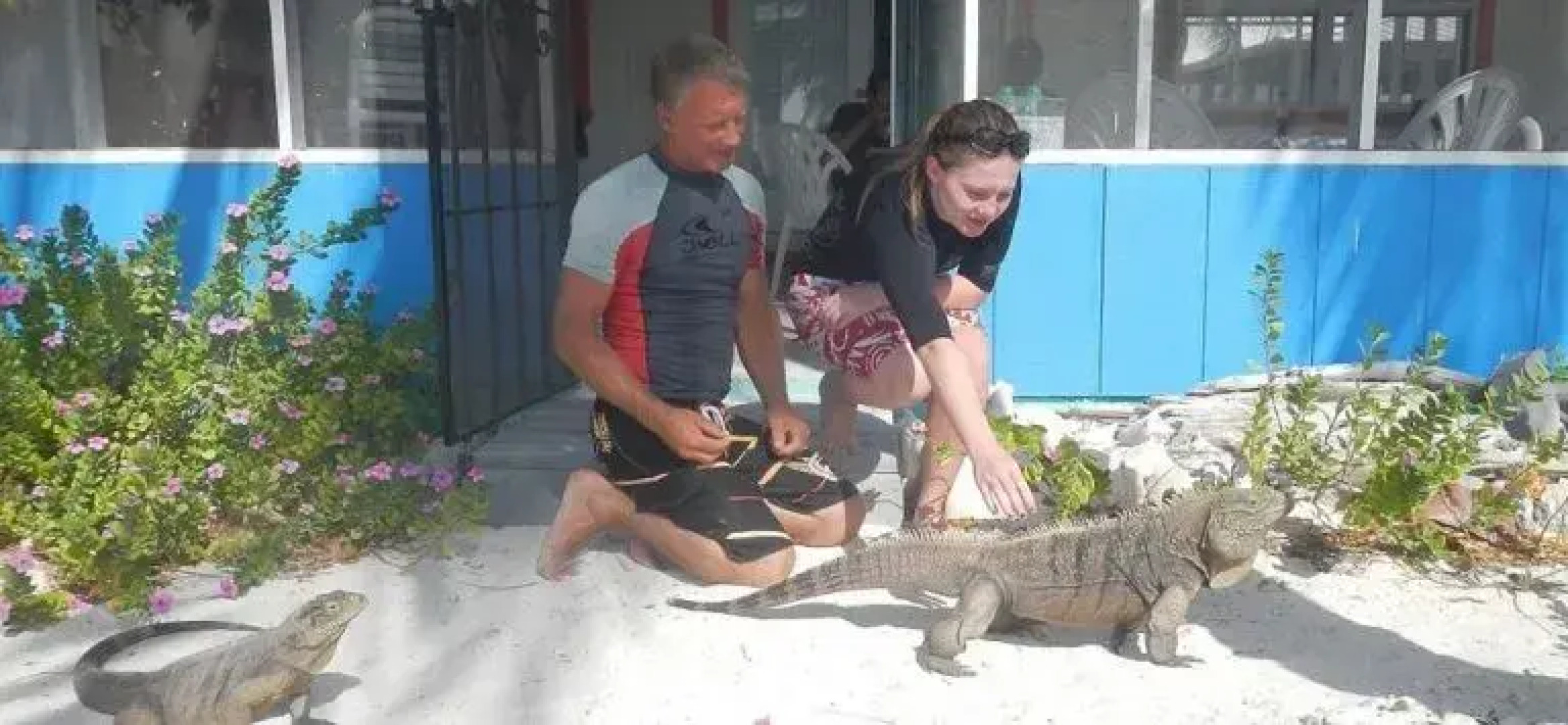 Sunset Cove Little Cayman