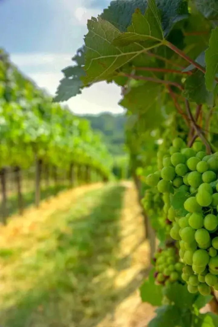 Pension Panoramablick