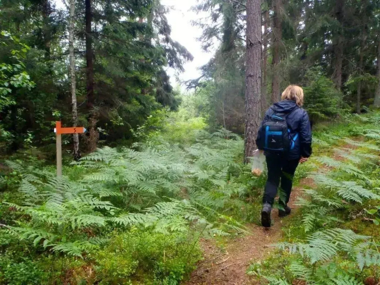 STF Vilsta Vandrarhem