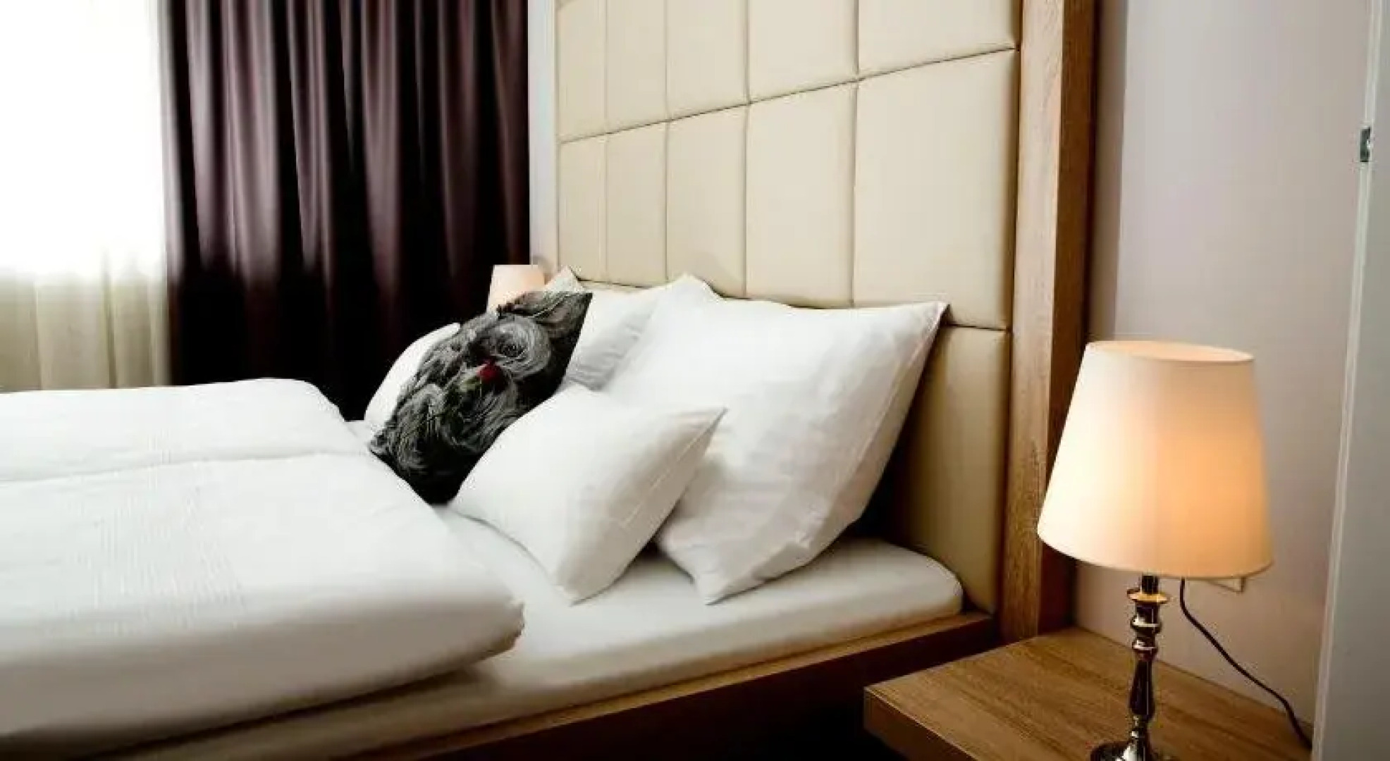 Pfeiler's Bürgerstüberl Hotel