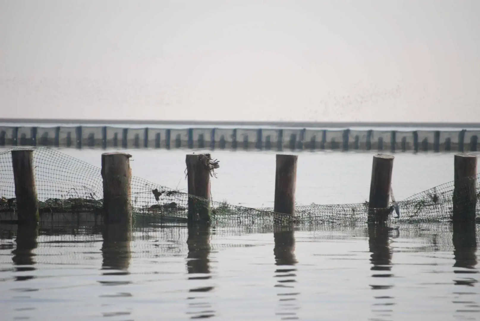 Agriturismo Ae Cavane