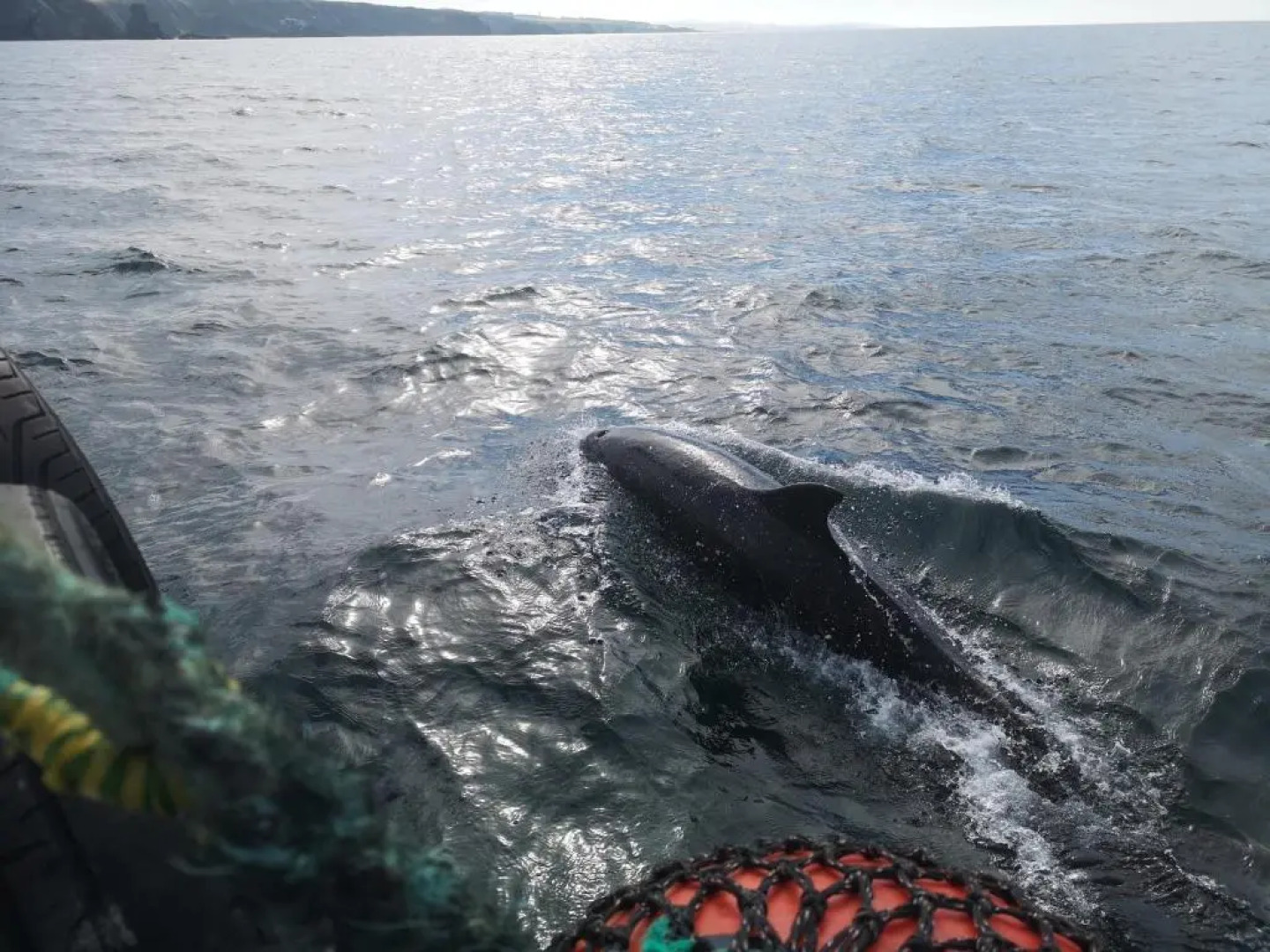 4 Waters Edge, Banff, Wonderful Sea Views