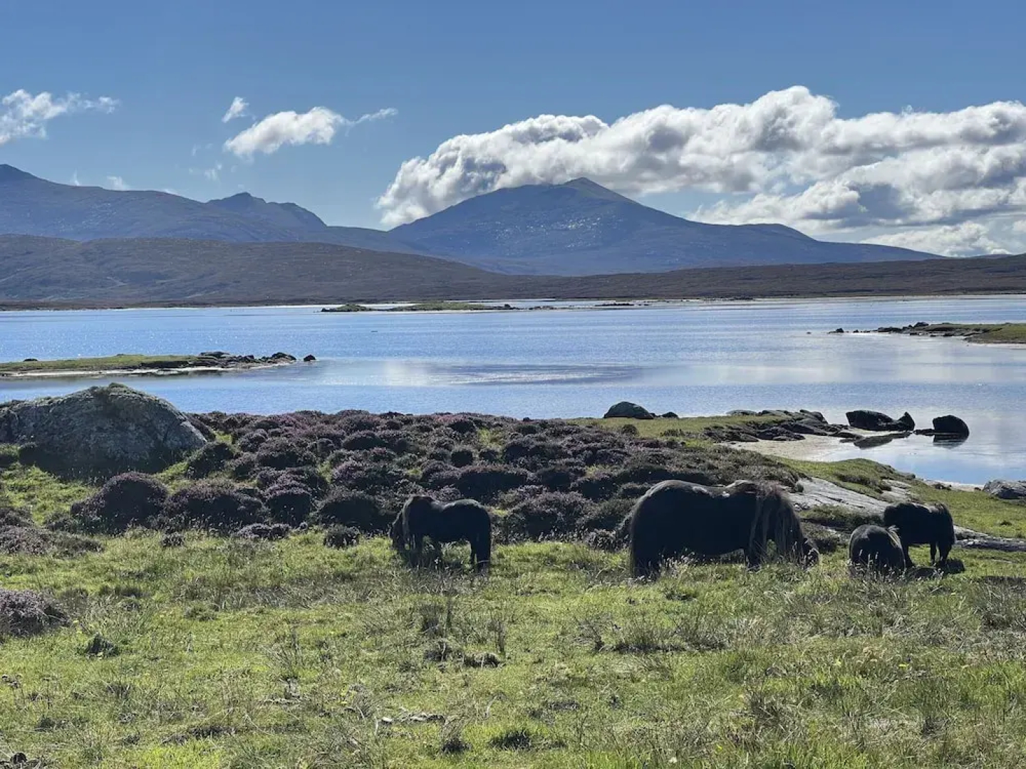 Dun Buidhe