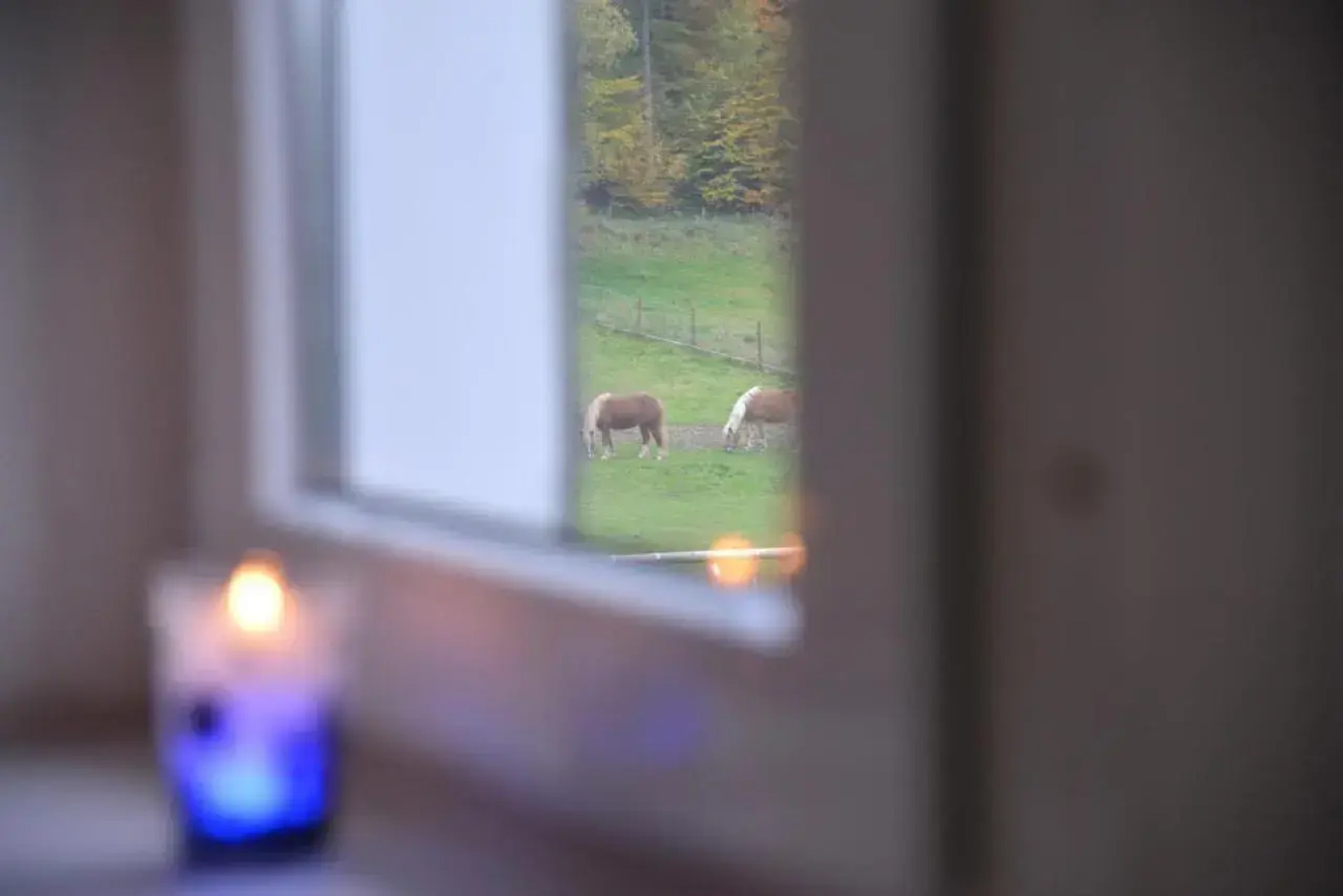 Ferienwohnung Schadler