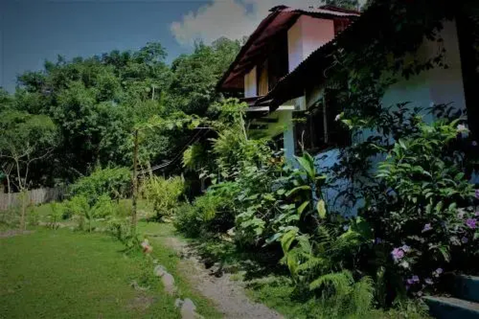 Jaguar Azul Palomino