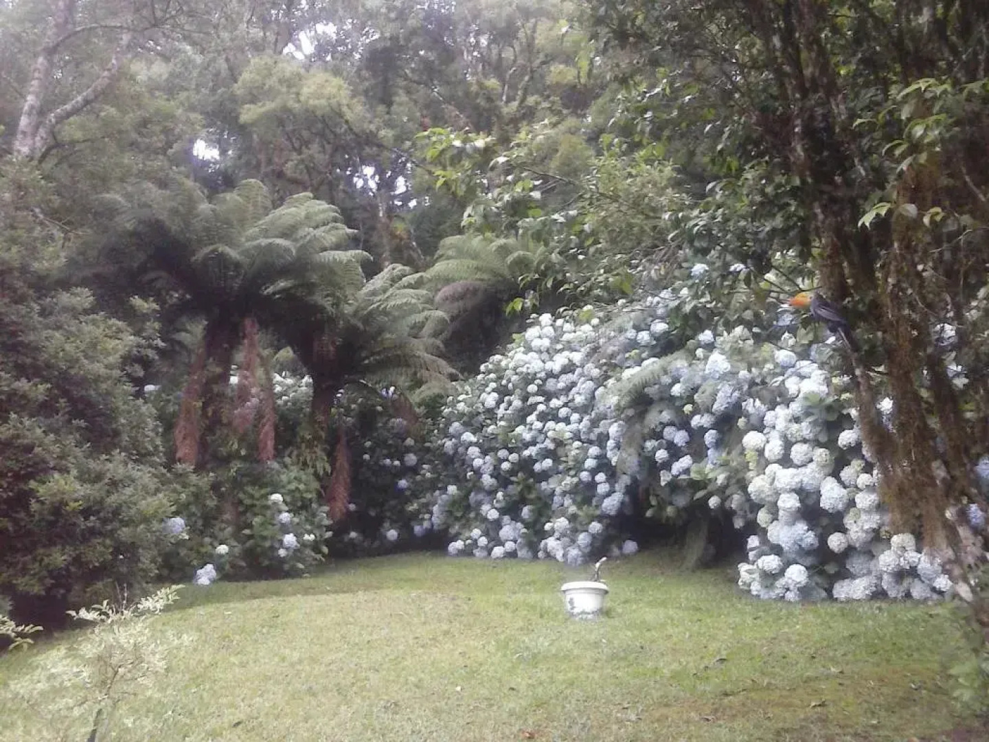 Nanda's House Pousada