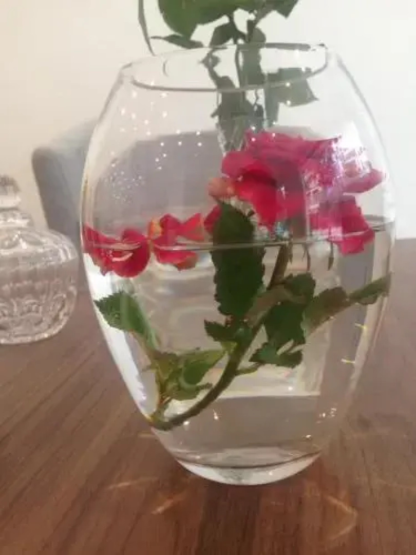 Rosa Villa Hotel & Apartment