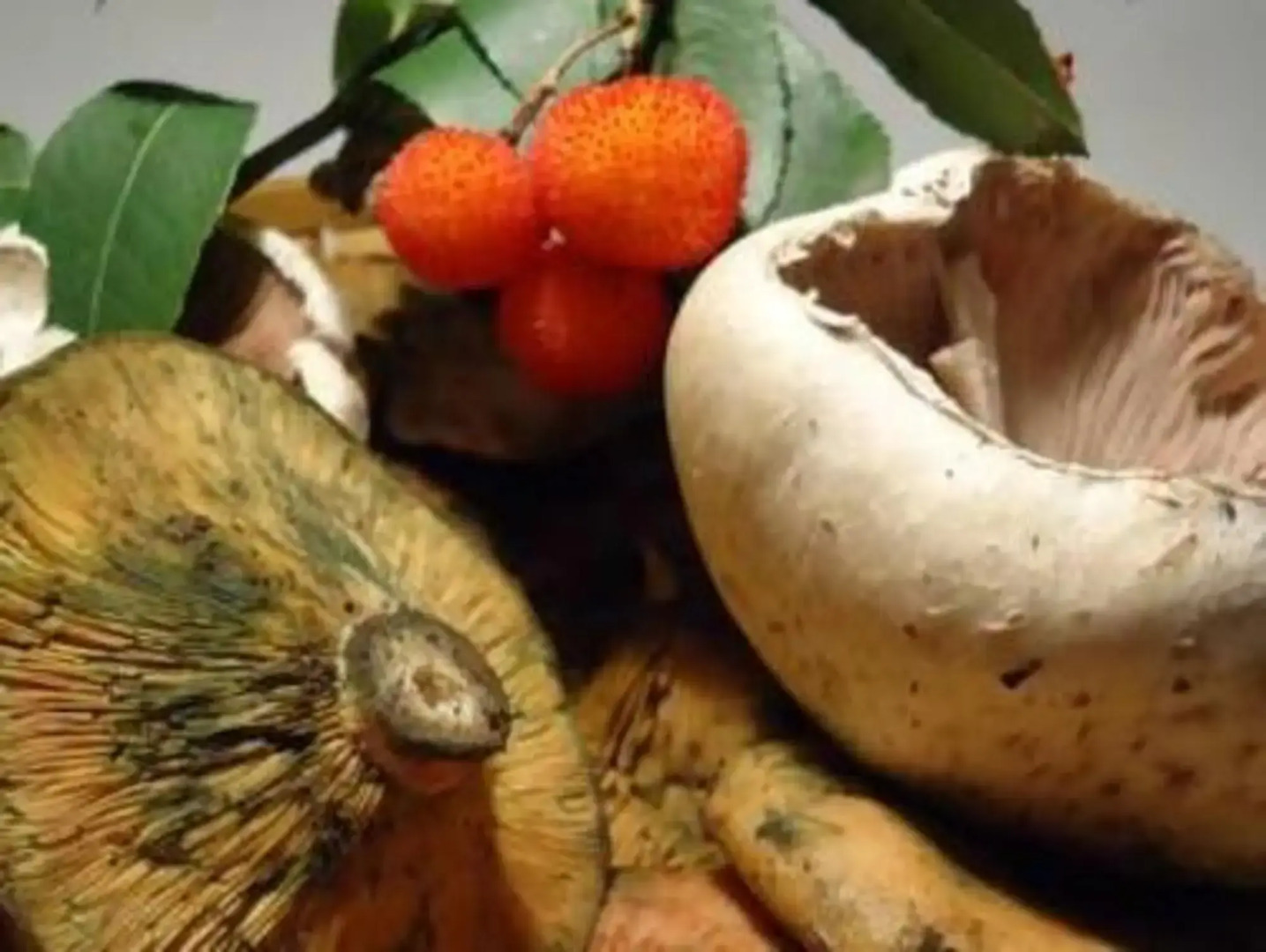 Alojamiento la Casa del Brigadier