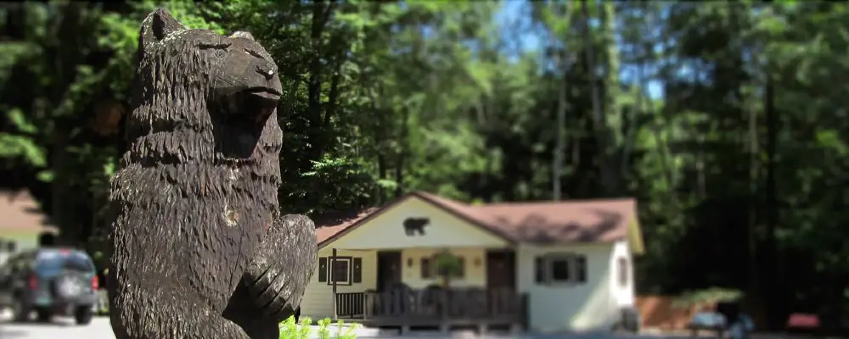 Lee's Motel and Cottages