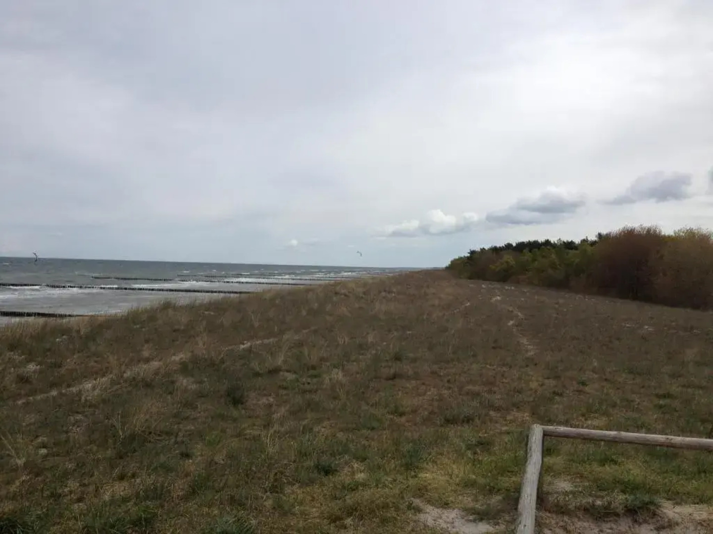 Ferienwohnung Buchenpark