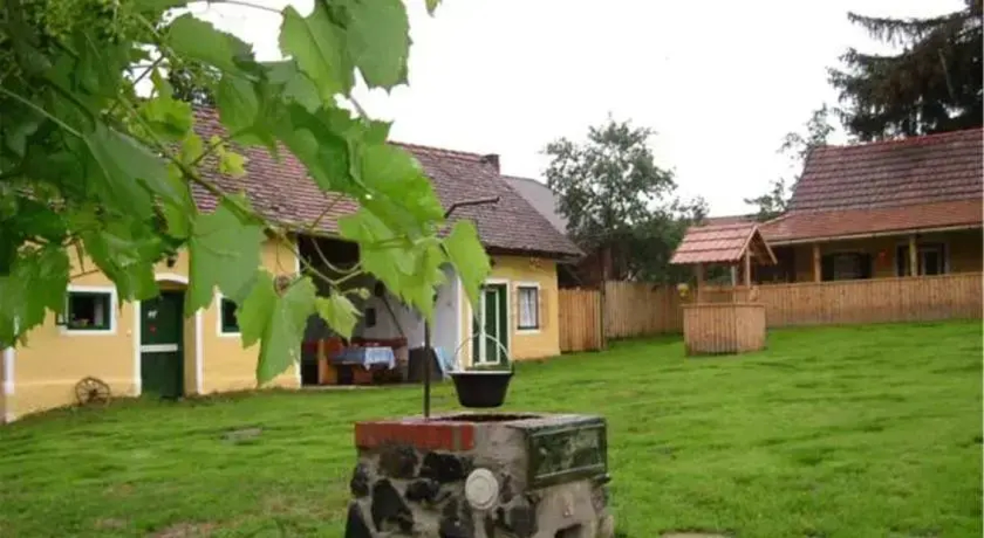Angyalka Lak