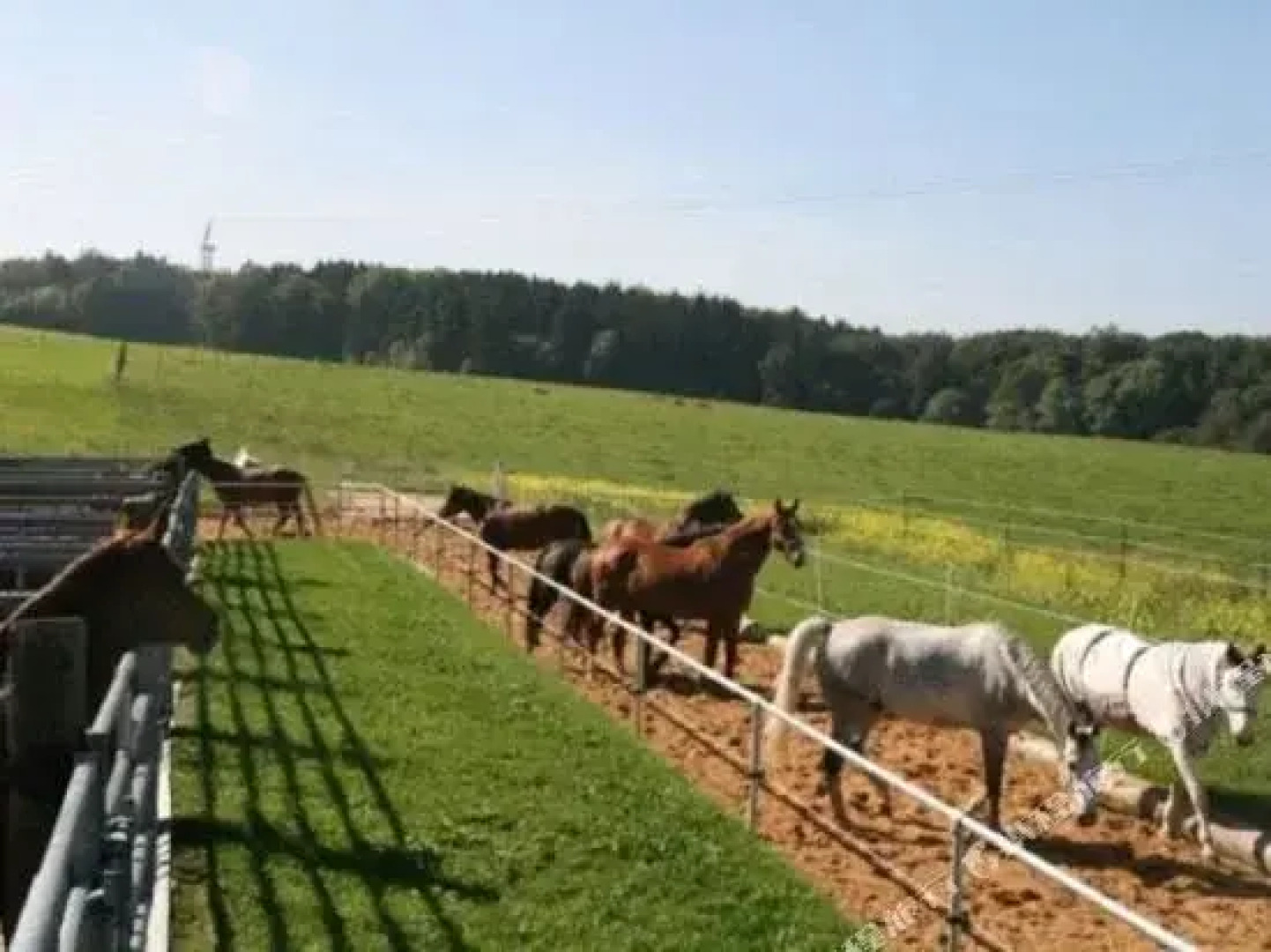 Reitanlage Härtsfeldhof