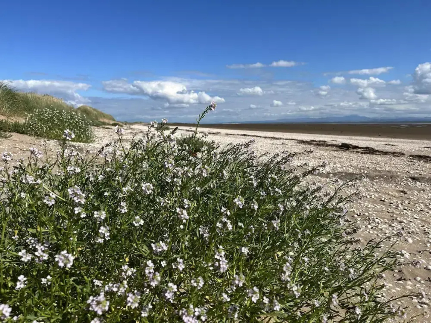 Clouded Yellow - Beautiful Modern Lodge, Kippford