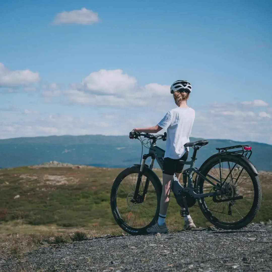 Oset Høyfjellshotell