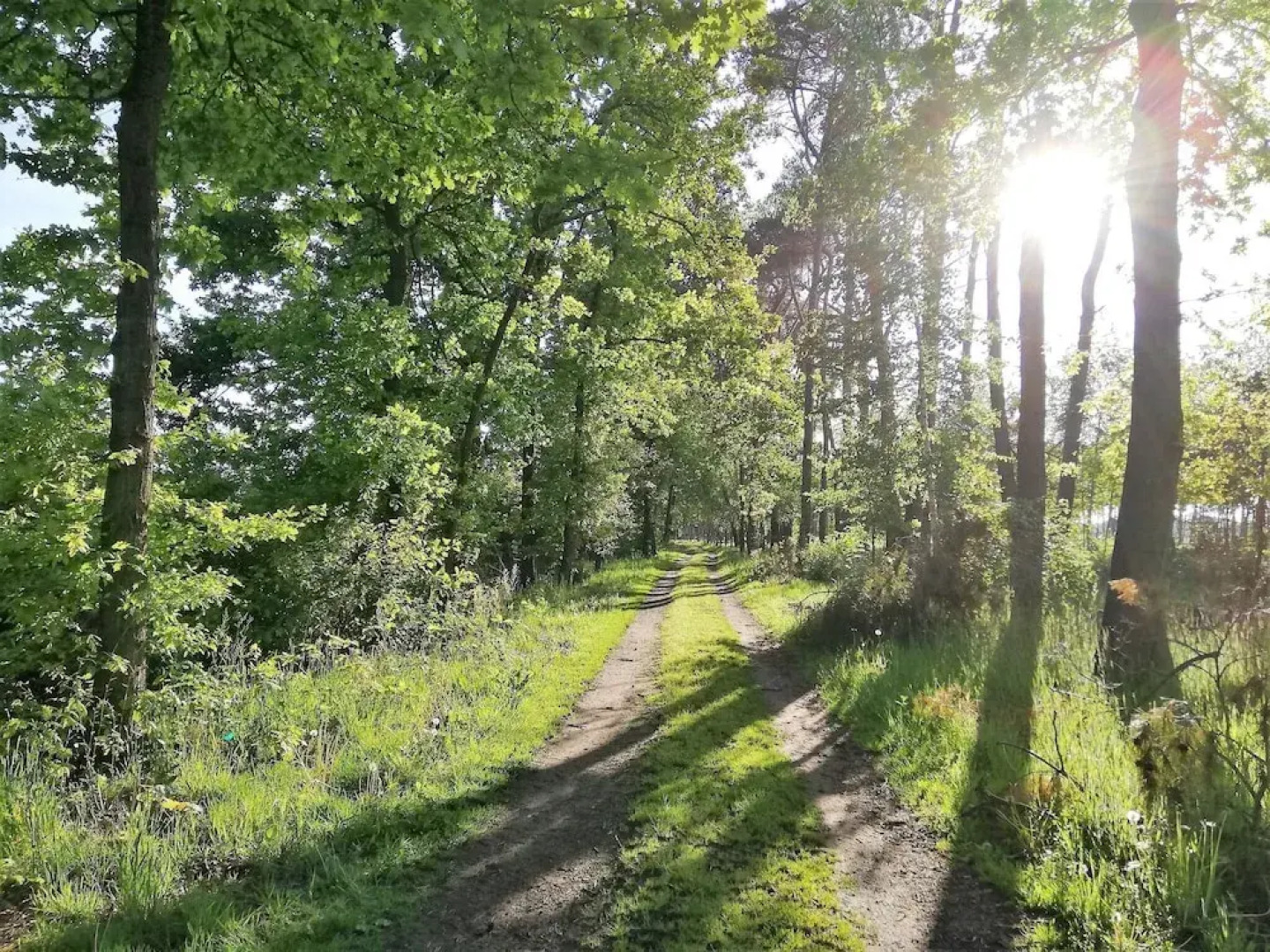 Beautifully Furnished Chalet With a Huge Garden in the Middle of Nature