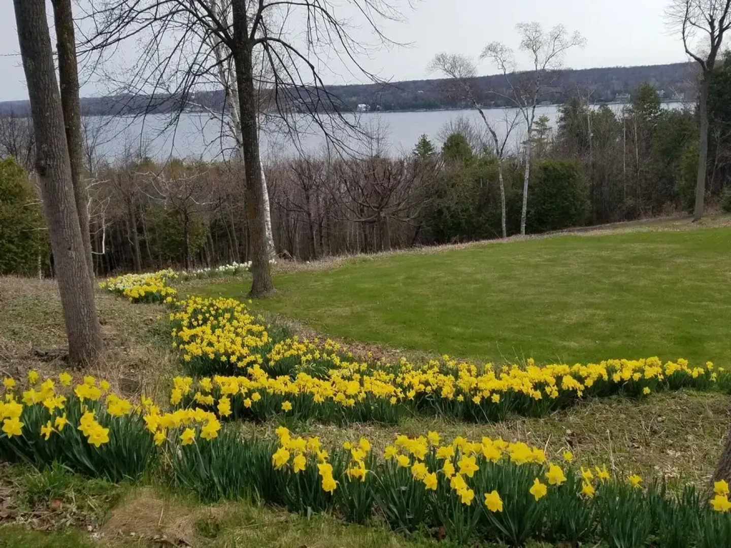 Country House Resort